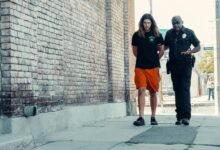 telecom regulation contact numbers