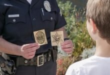 digital trust authority model